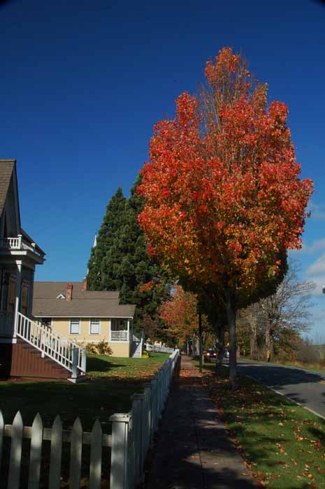 Port Gamble